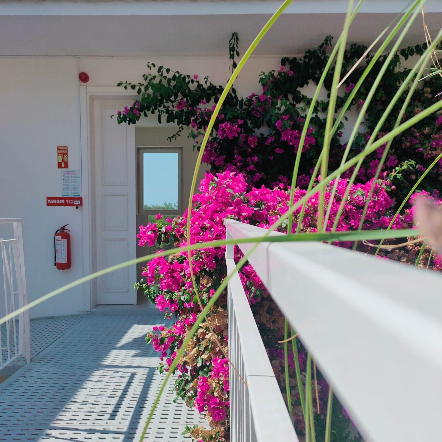 Faralya Tuz Apart Hotel Exterior foto